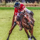 Jugador de polo a caballo