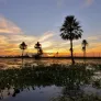 Atardecer en los Esteros del Iberá, Corrientes